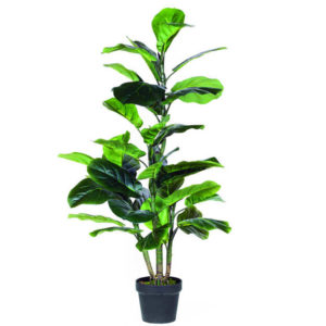 Planta artificial Ficus Lyrata de 90 y 120 cm de Catral